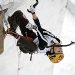 First Stage of The Ice Climbing World Cup 2011