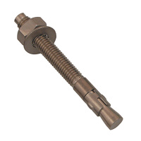 Stainless Steel Bolt 10mm x 3.5