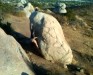 Santee Boulders - Butt Plug, East Face